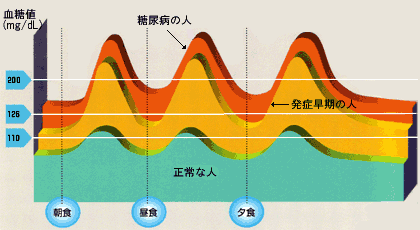 血糖値の動き